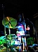 passerelles080.JPG